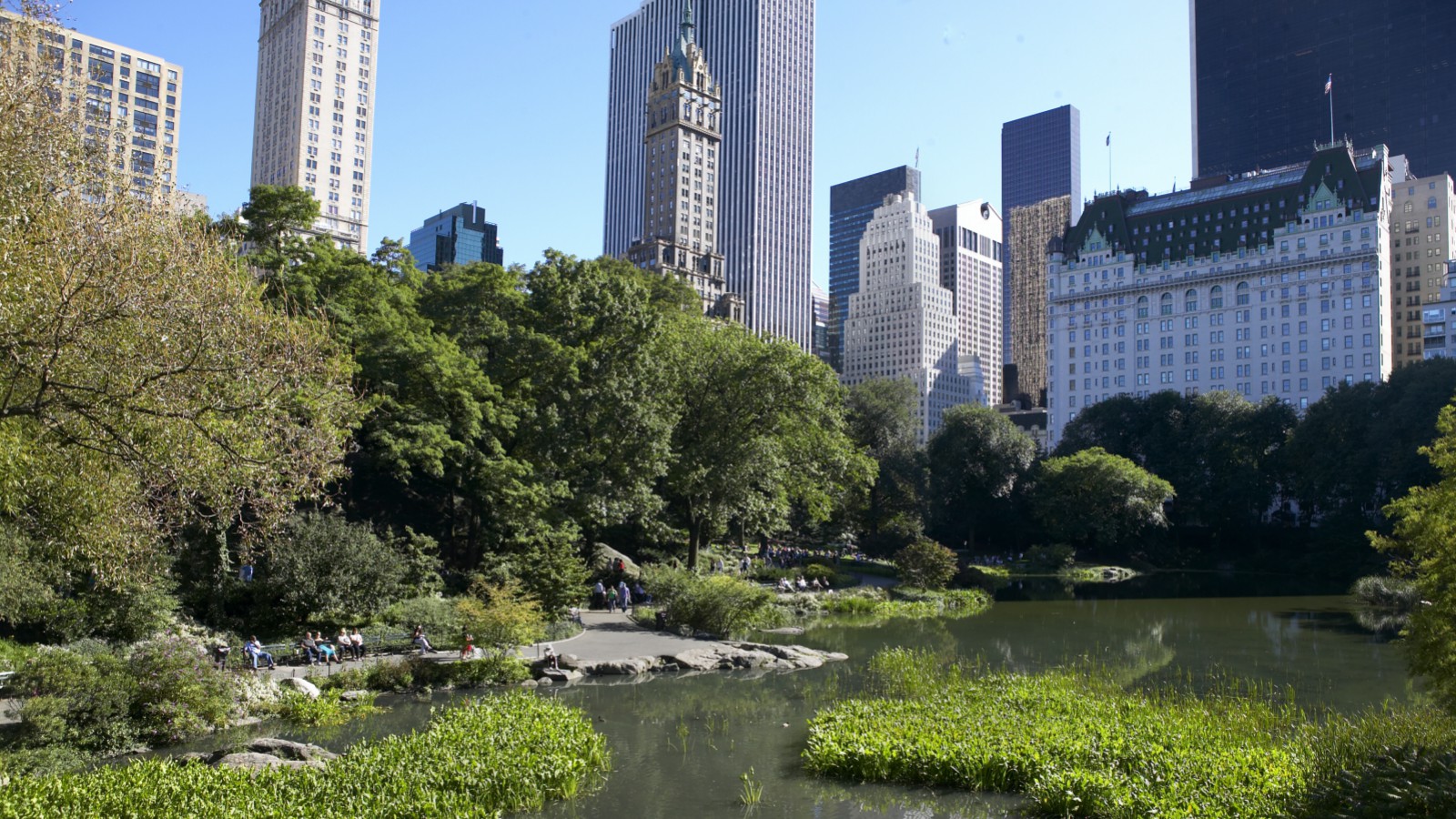 Central Park West Best Restaurants Central Park West Best Restaurants